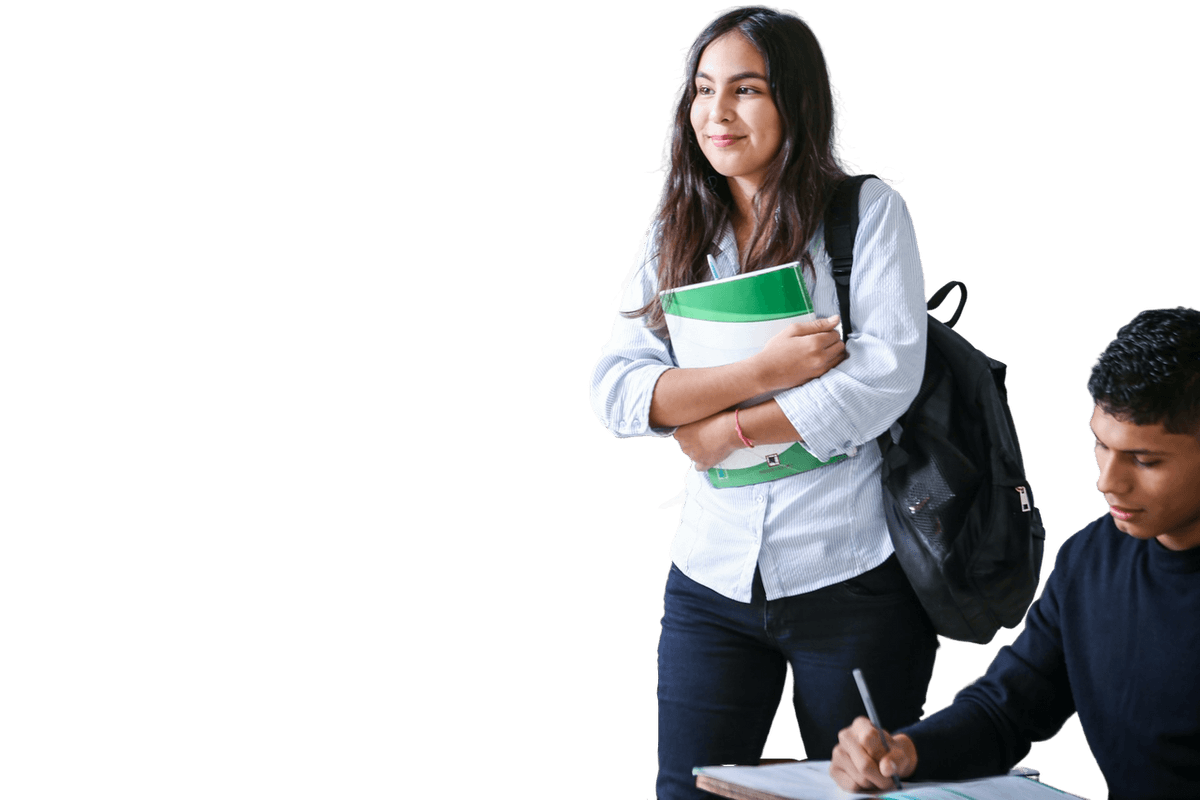 Professional accountant working